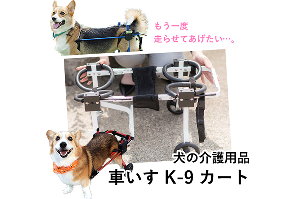 トリミング事業