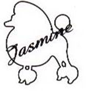 logo-company